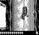 screenshots/Game Boy/Donkey Kong Land 3/Donkey Kong Land III (USA, Europe)_57.png